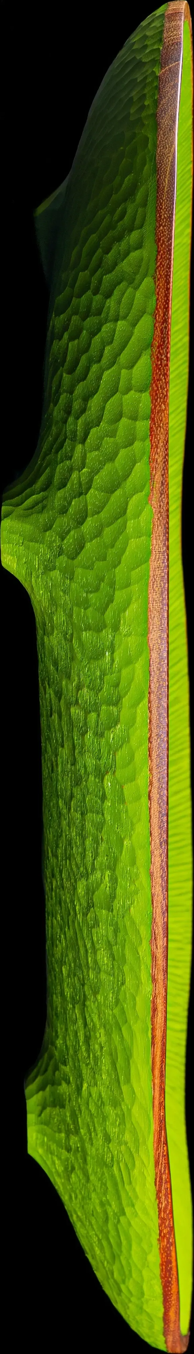 Moara Régia — reflexo pleno, os dois pés simétricos